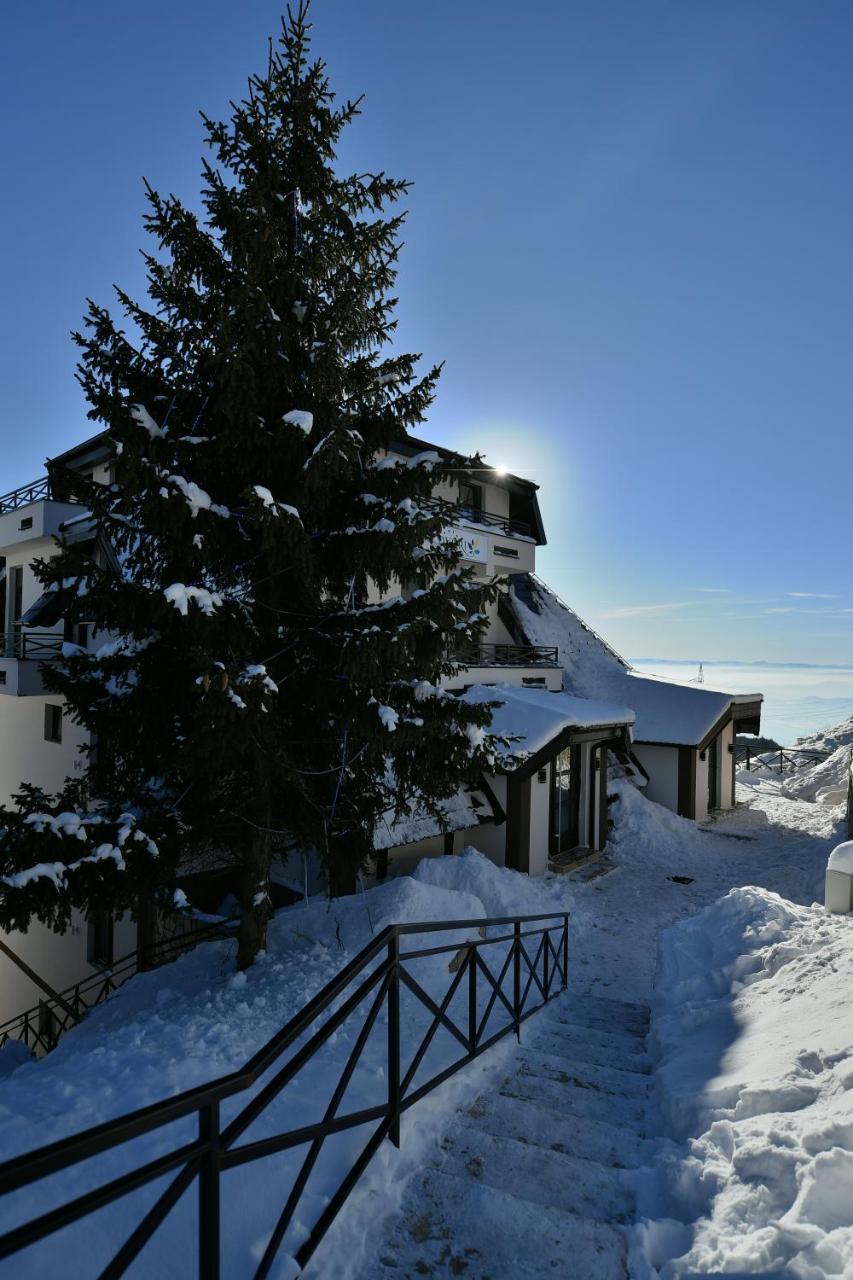 Apartman D52 Dvori Копаоник Экстерьер фото